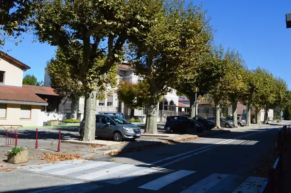 Conseil Monte Escalier Monte escalier Assieu