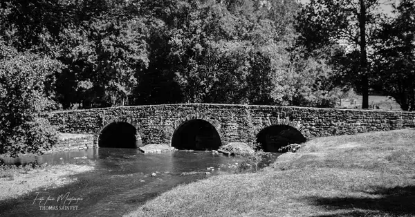 Conseil Monte Escalier Monte escalier Azay-le-Brûlé