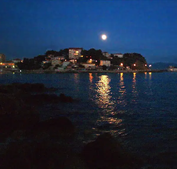 Conseil Monte Escalier Monte escalier Bandol