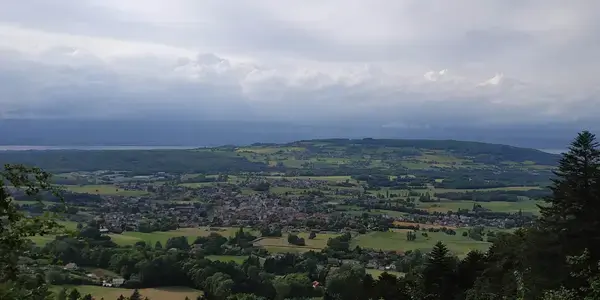 Conseil Monte Escalier Monte escalier Bons-en-Chablais