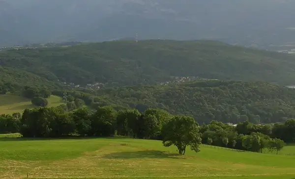 Conseil Monte Escalier Monte escalier Bresson