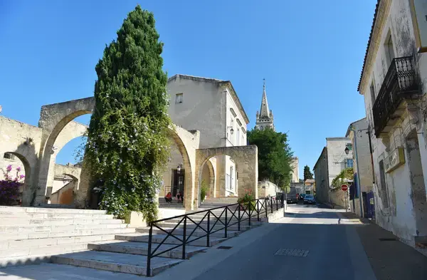 Conseil Monte Escalier Monte escalier Castries