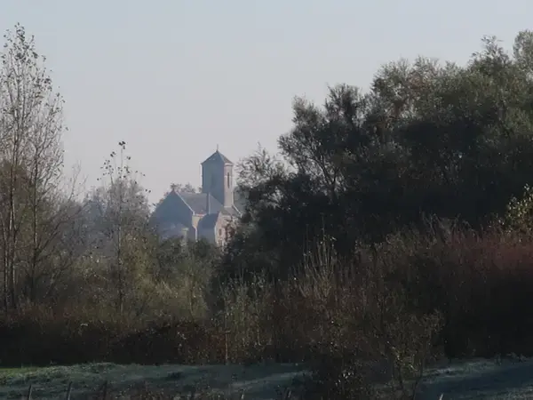 Conseil Monte Escalier Monte escalier Crissey