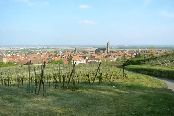 Conseil Monte Escalier Monte escalier Dambach-la-Ville