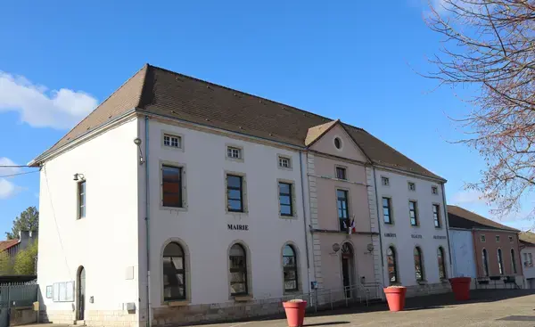Conseil Monte Escalier Monte escalier Demigny