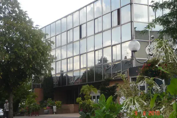 Conseil Monte Escalier Monte escalier Denain