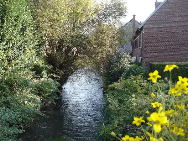Conseil Monte Escalier Monte escalier Déville-lès-Rouen
