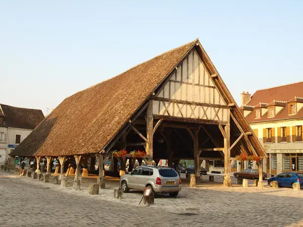 Conseil Monte Escalier Monte escalier Égreville