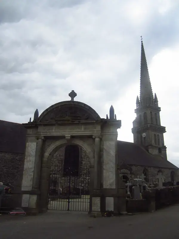 Conseil Monte Escalier Monte escalier Elliant