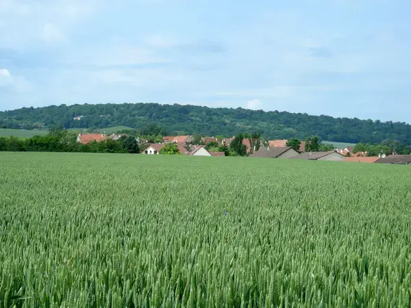 Conseil Monte Escalier Monte escalier Fléville-devant-Nancy