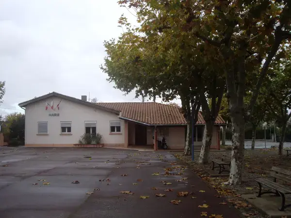 Conseil Monte Escalier Monte escalier Fonbeauzard