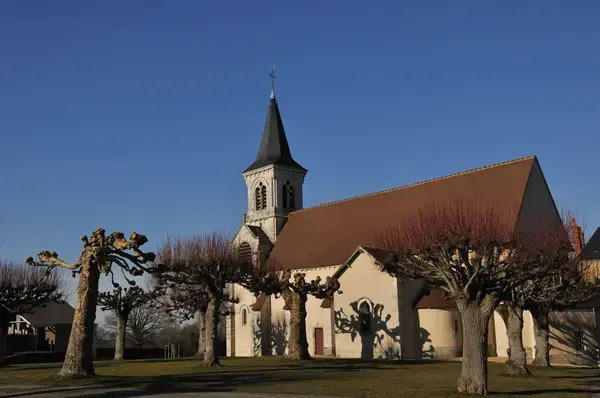 Conseil Monte Escalier Monte escalier Fougerolles