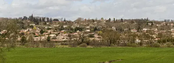 Conseil Monte Escalier Monte escalier Garidech