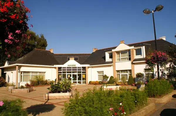 Conseil Monte Escalier Monte escalier Gestel