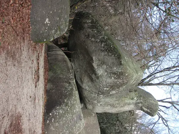 Conseil Monte Escalier Monte escalier Lacrouzette