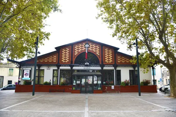 Conseil Monte Escalier Monte escalier Lansargues