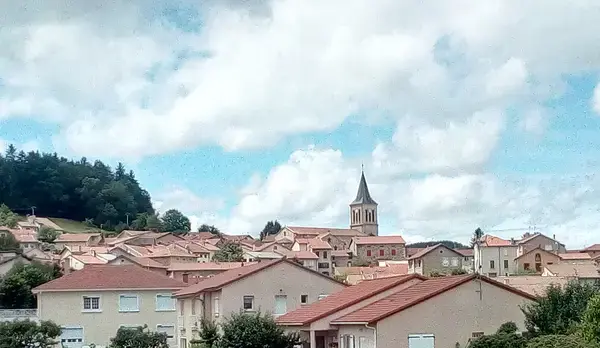 Conseil Monte Escalier Monte escalier Lantriac