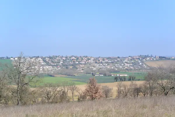 Conseil Monte Escalier Monte escalier Lauzerville