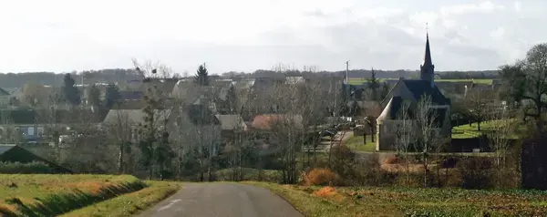 Conseil Monte Escalier Monte escalier Le Boulay