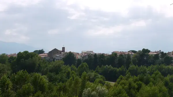 Conseil Monte Escalier Monte escalier Le Boulou