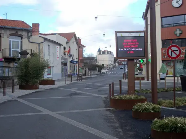 Conseil Monte Escalier Monte escalier Le Cendre