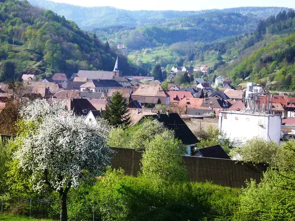 Conseil Monte Escalier Monte escalier Lièpvre
