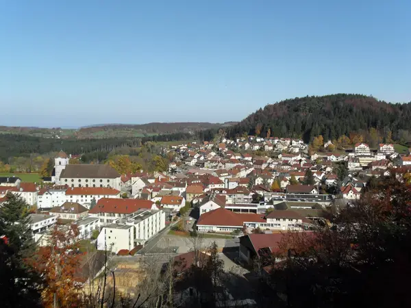 Conseil Monte Escalier Monte escalier Maîche