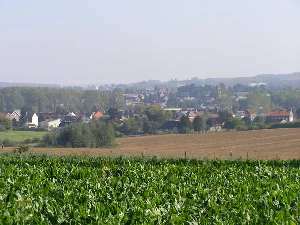 Conseil Monte Escalier Monte escalier Marpent