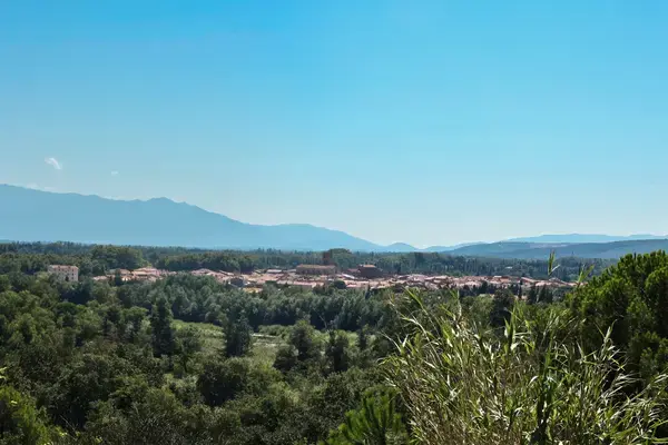 Conseil Monte Escalier Monte escalier Millas