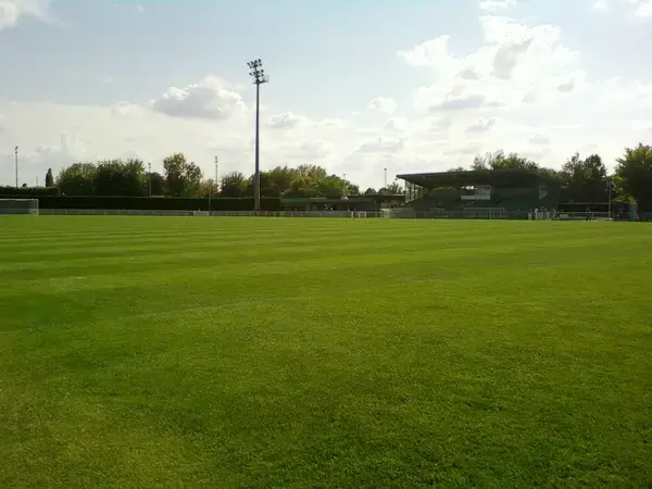 Conseil Monte Escalier Monte escalier Moissy-Cramayel