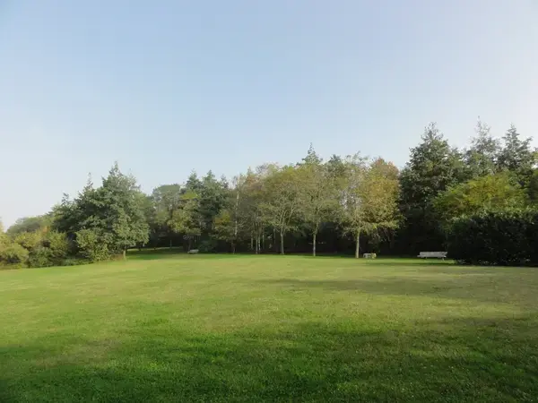 Conseil Monte Escalier Monte escalier Montigny-en-Gohelle