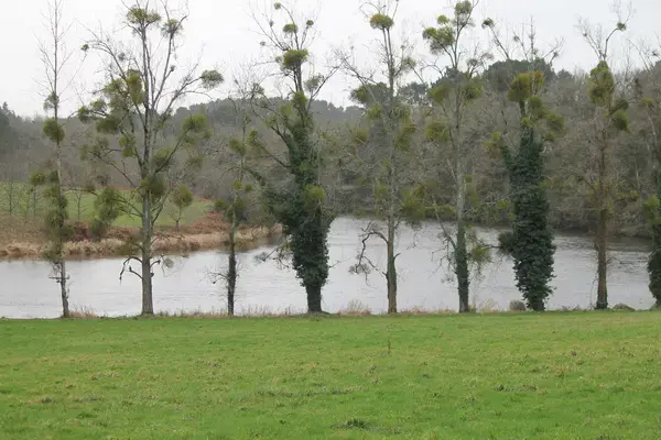 Conseil Monte Escalier Monte escalier Muzillac