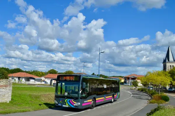 Conseil Monte Escalier Monte escalier Narrosse