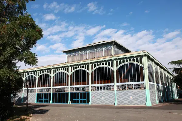 Conseil Monte Escalier Monte escalier Nogent-sur-Marne