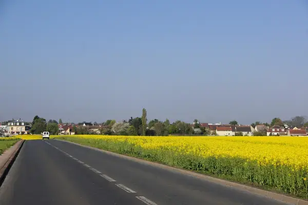 Conseil Monte Escalier Monte escalier Noiseau