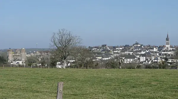 Conseil Monte Escalier Monte escalier Ombrée d'Anjou