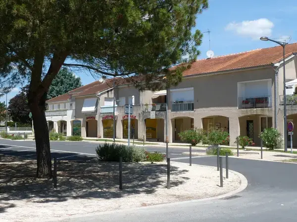 Conseil Monte Escalier Monte escalier Pineuilh