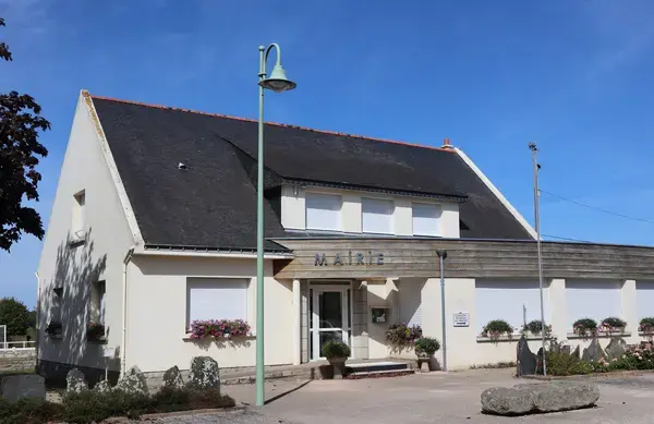 Conseil Monte Escalier Monte escalier Pluherlin