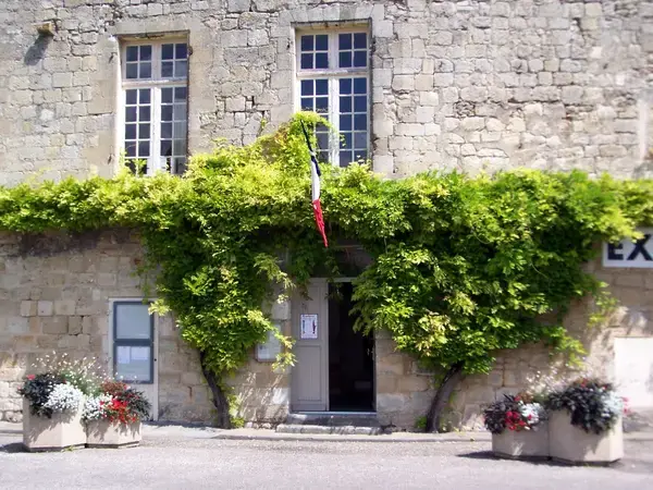 Conseil Monte Escalier Monte escalier Pujols
