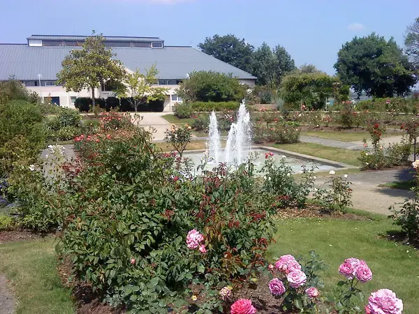 Conseil Monte Escalier Monte escalier Quévert