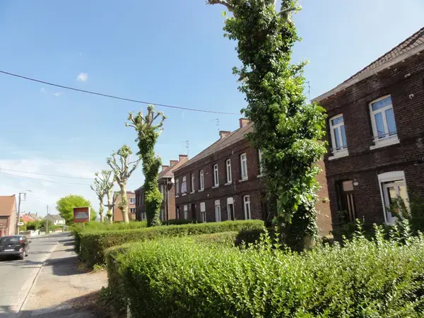 Conseil Monte Escalier Monte escalier Quiévrechain