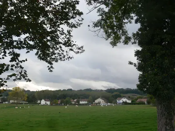 Conseil Monte Escalier Monte escalier Saint-André-le-Gaz
