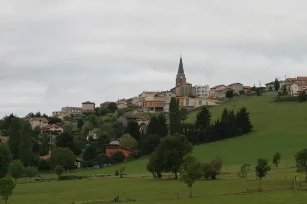 Conseil Monte Escalier Monte escalier Saint-Christo-en-Jarez