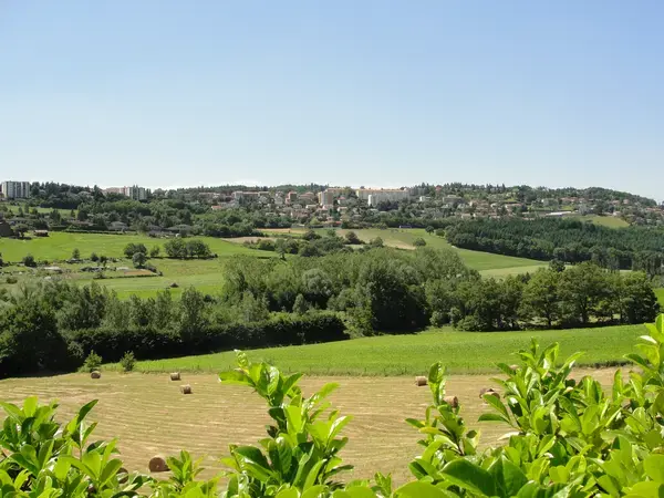 Conseil Monte Escalier Monte escalier Saint-Genest-Lerpt