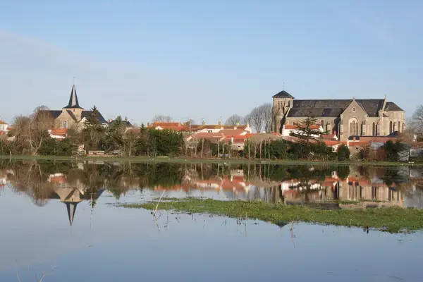 Conseil Monte Escalier Monte escalier Sallertaine