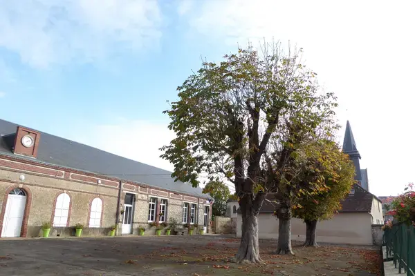 Conseil Monte Escalier Monte escalier Serazereux