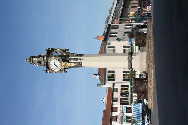Conseil Monte Escalier Monte escalier Tassin-la-Demi-Lune