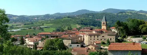Conseil Monte Escalier Monte escalier Thurins