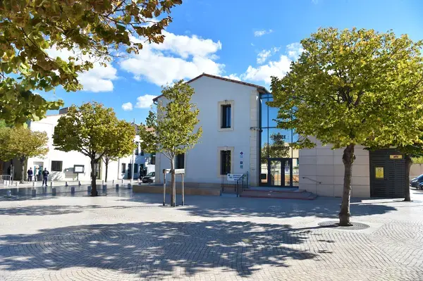 Conseil Monte Escalier Monte escalier Vic-la-Gardiole
